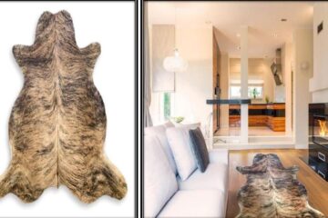 Why Are Cowhide Rugs the Ultimate Statement Piece for Your Home