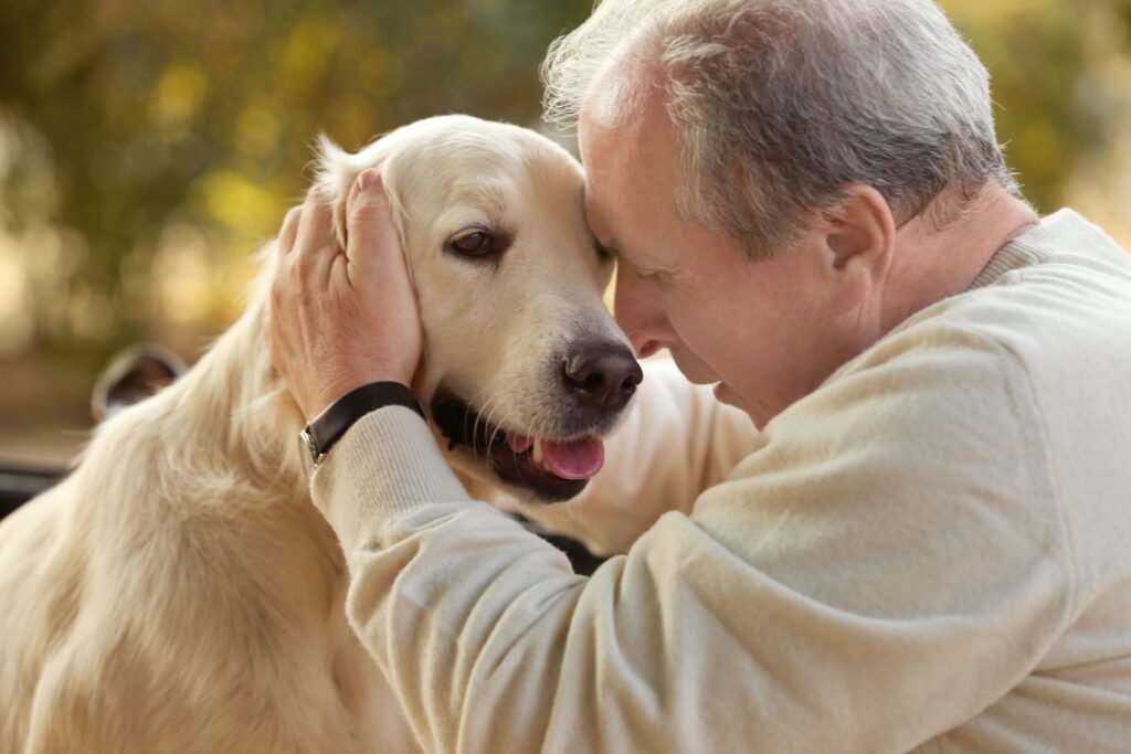 Senior Pet Care: Ensuring Health and Comfort for Older Pets